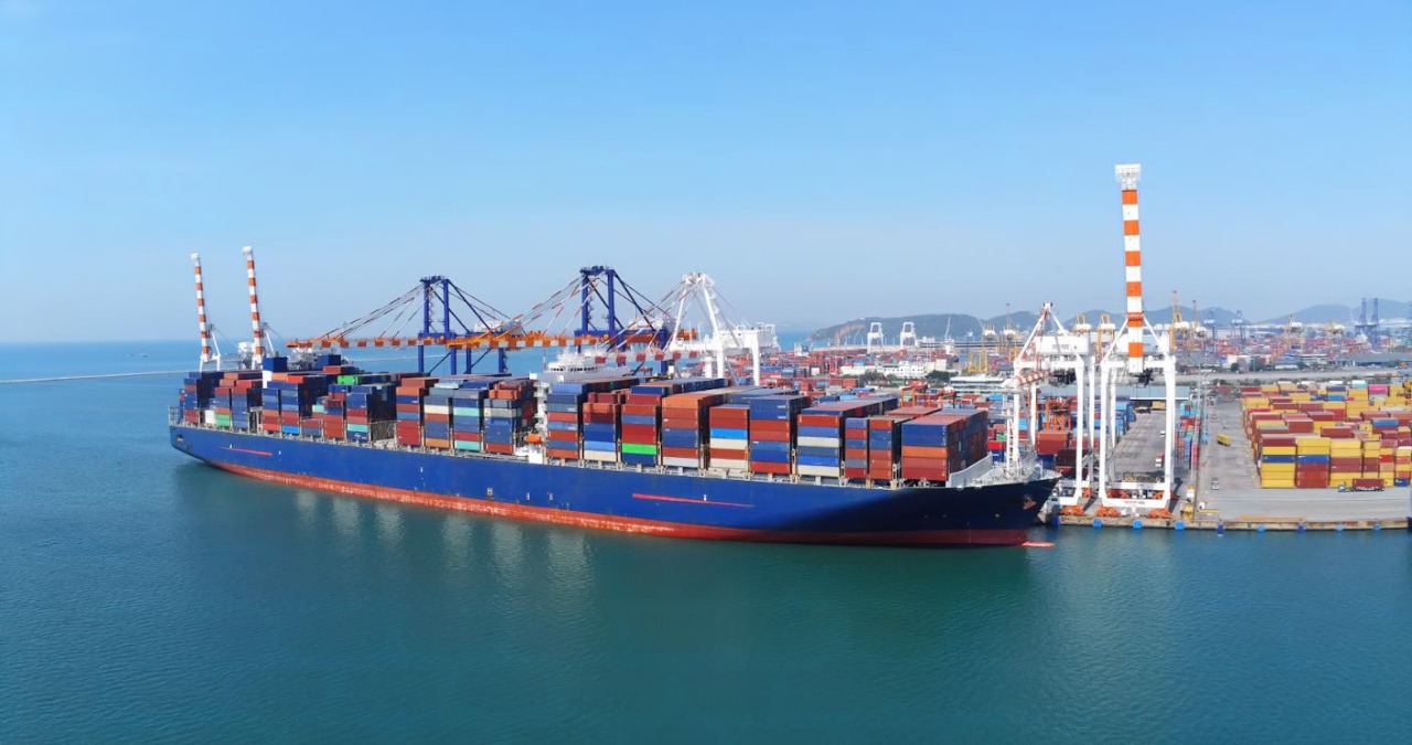 Ario Shipping & Logistics Services